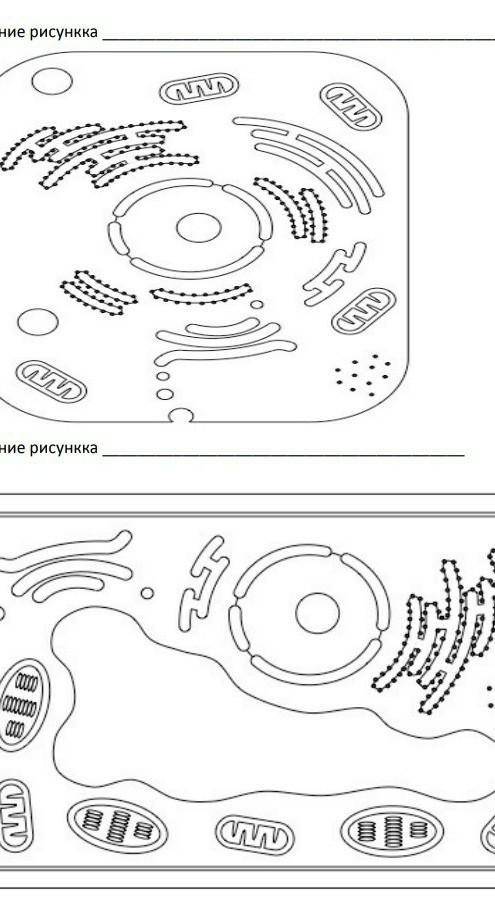 Биология1.Название рисунка2.Название рисунка​