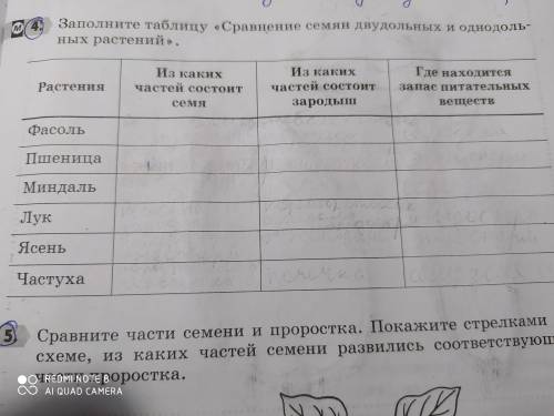 Заполните таблицу ,,Сравнение семян двудольных и однодольных,, .