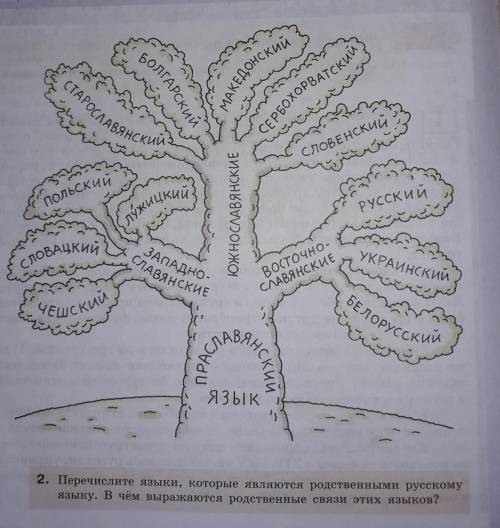 Только 2 вопрос : в чём выражаются родственные связи этих языков?​