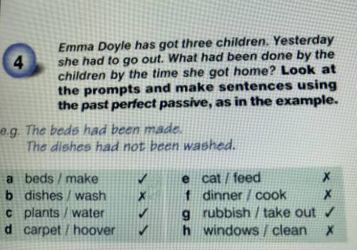 C.Plants/water d.Carpet/Hoover e.cat/feed f.dinner/cook g.rubbish/take out h.windows/clean