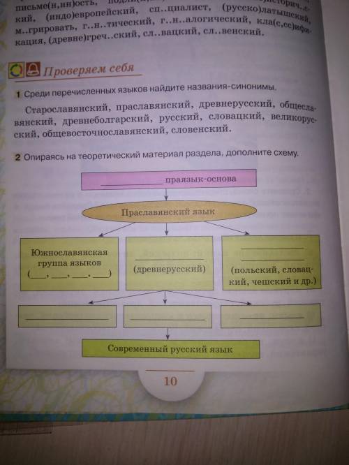 Опираясь на теоретический материал раздела , дополните схему