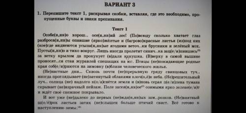 По русскому задали вставить буквы ,скобки раскрыть зделайте Не спеша зделайте правильно.Или может кт