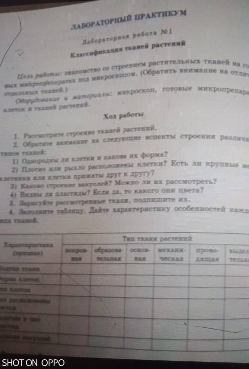 рассмотрите строение тканей второе обратите внимание на следующие аспекты строения различных твоих т