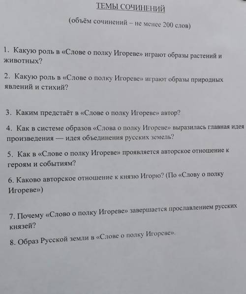 Сочинение по литературе. ​