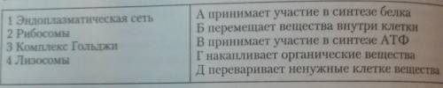 Биология 8 класс Вопрос на скринах