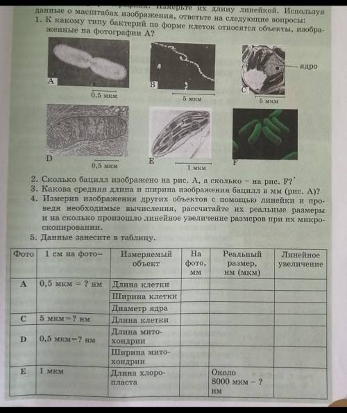 ПОЖАЙЛУСТА ответьте на вопросы ❤️❤️​