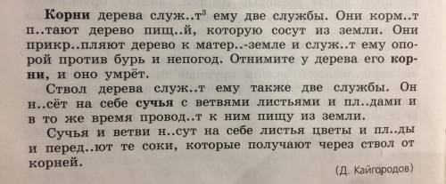 Выделить во всех предложениях грамматические основы, у глаголов определить спряжение (1 , 2) Будут б