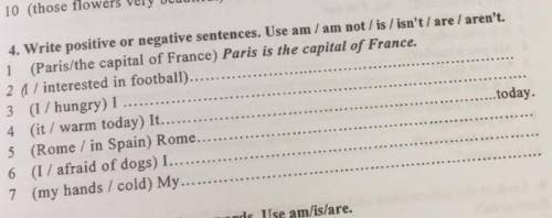 Write positive or negative sentences​