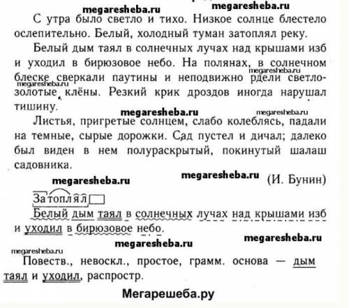 упражнение 28 русский язык 6 класс баранов ладыжеская списать слова с безударной гласными в корне сл