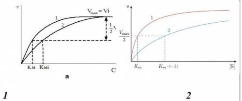 Укажи график конкурентного №_____ и неконкурентного №______ ингибирования. Почему Вы делаете такое з