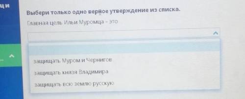 главная цель Ильи Муромца - это первое защищать Муром и Чернигов второе защищать князя Владимира и т