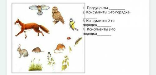 2. Назовите и распределите живые организмы на трофические уровни согласно пищевой цепи​