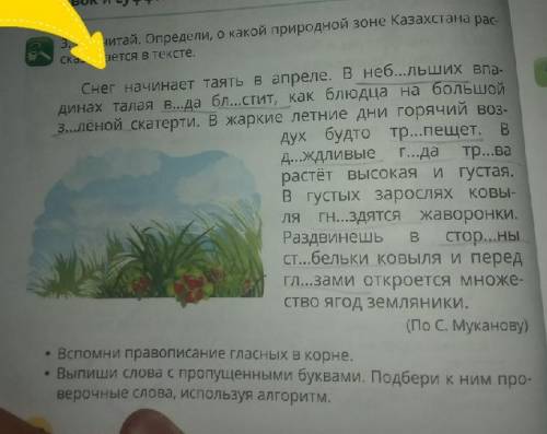 Здравствуйте все которые на этом сайте мне по русскому языку моя учительница сказала здесь только вы