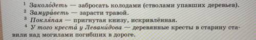 Нужен богатырский словарь (любое кол-во),примеры слов на фото. В основном они находятся в рассказах