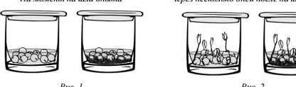 8.2. Используя рисунки, сформулируйте вывод о влиянии этого условия на прорастание семян. ответ:​