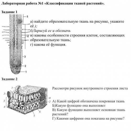 сделать лабораторную по биологии 8 класс