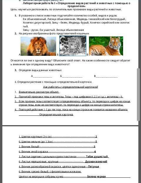 Ребят Лабораторная работа 1 по биологии​