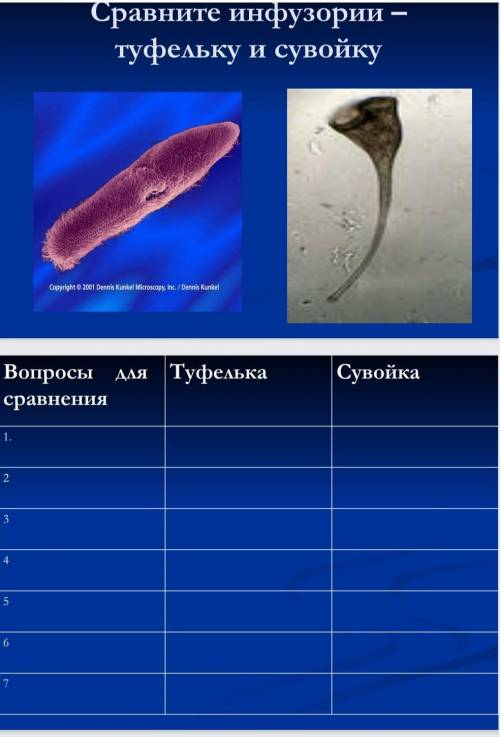 Сравните инфузорию туфельку и сувойку ОЧЕНЬ НУЖНОО ​