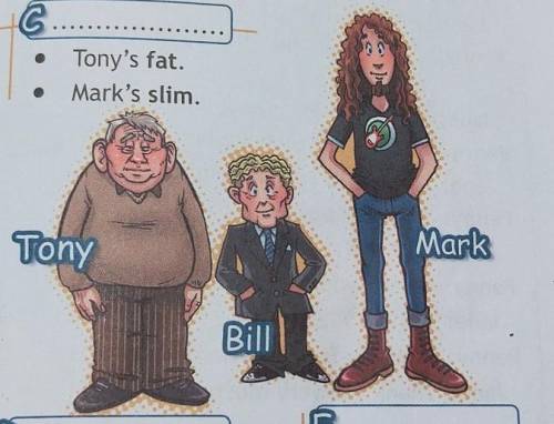 6 Use the adjectives in bold in Ex. 5 to ask and answer questions about Tony, Bill and Mark.A: Is Ma