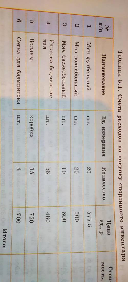 Предложите какой-нибудь составления сметы по таблице 5.1 так, чтобы были куплены волейбольные и футб