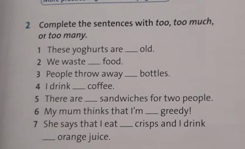 2 Complete the sentences with too, too much, or too many.1 These yoghurts are old.2 We waste_food.3