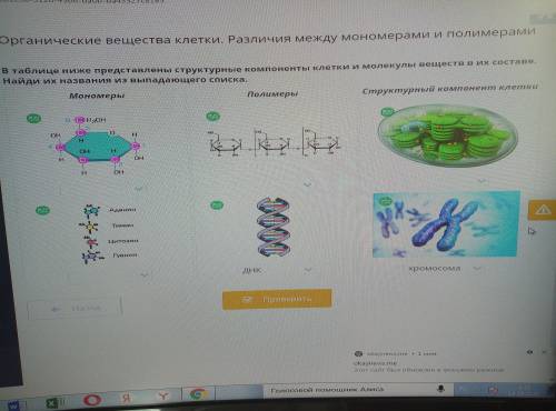 В таблице ниже представлены структурные компоненты клетки и молекулы вещества в их составе. Найдите