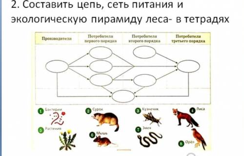 биология цепь просто вставить где, что​