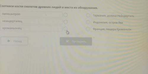 встать нести кости скелета в древних людей и места их ЗА БЕСТАЛКОВЫЙ ОТВЕТ БАН