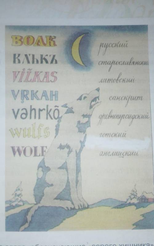 1)Рассмотрите рисунок из книги А.A Леонтьева Что такое язык и определите слова из языков какой семьи