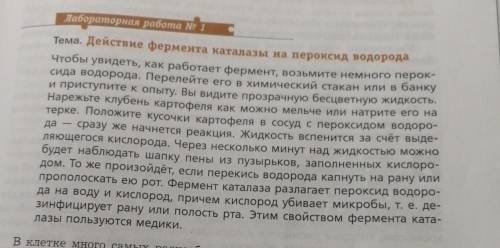 Действие фермента каталазы на пероксид водорода​