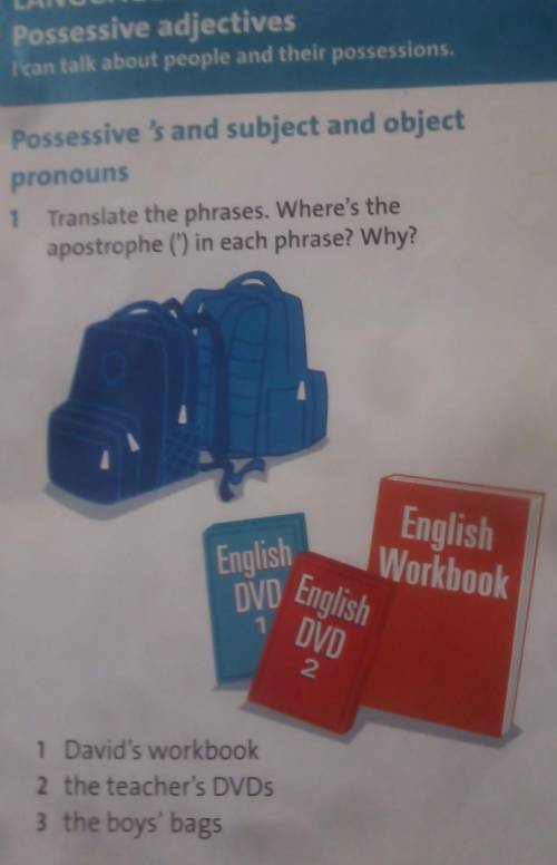 1 translate the phrases. where's the apostrophe (') in each phrase? why?​