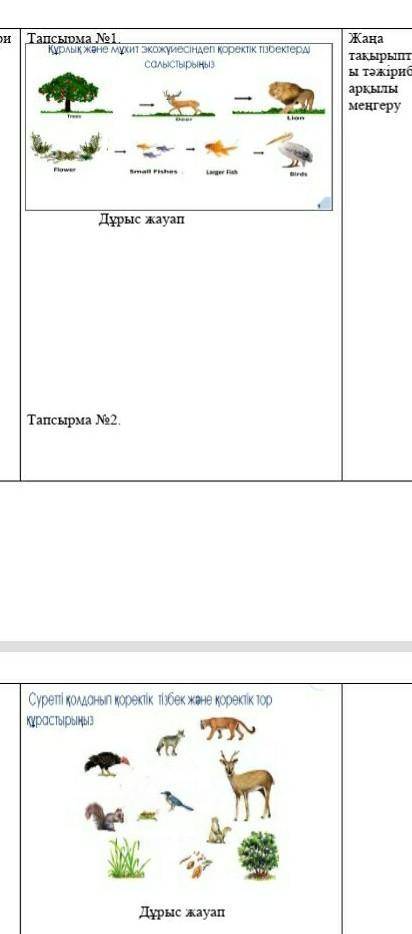 Формирование питательных цепей в экосистемах суши и океана. сравнитеҚұрлық және мұхит Экожүйесіндегі