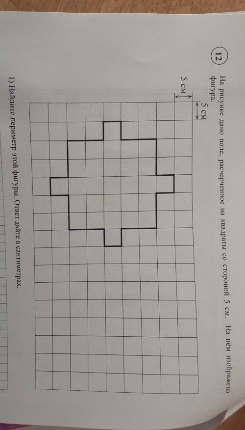 вот еще вопросы. 1)найдите периметр этой фигуры.ответ дайте сантиметрах.2)На поле, в данном условии,