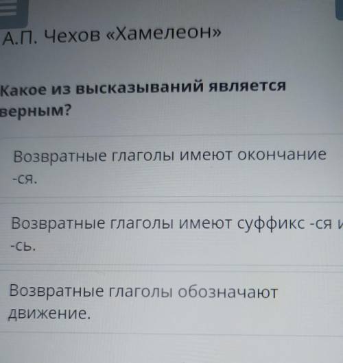 Какое из высказываний о рассказе хамелеон является верным?​