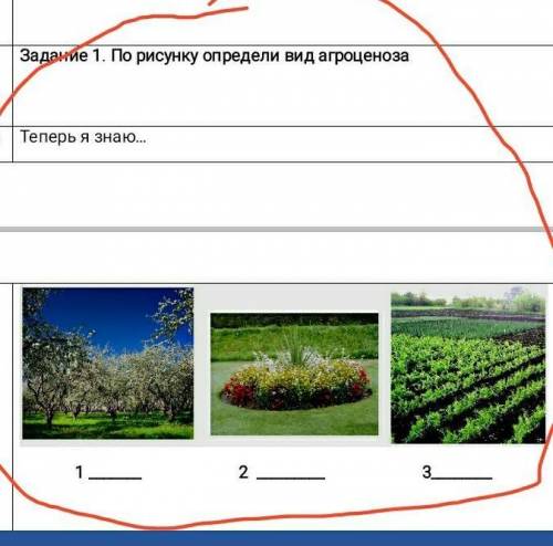 По рисунку определи вид оргонезора биология ​