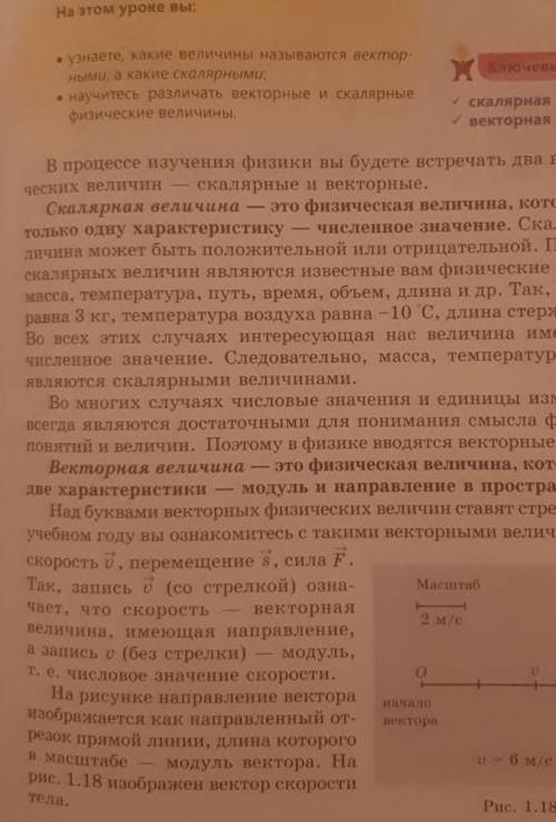 1. Скалярная величина-правила и примеры 2. Векторные величины-правила и примеры