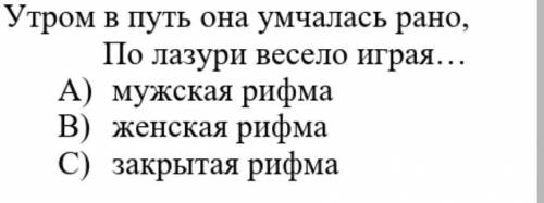 ОТВЕТЬТЕ) как называется созвучие в котором ударение падает на второй слог от конца стиха пример: ​