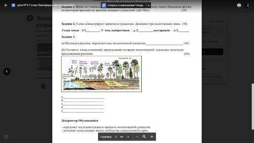 Задание 1. Верно ли утверждение: «Закономерную и направленную смену одного биоценоза другим за некот