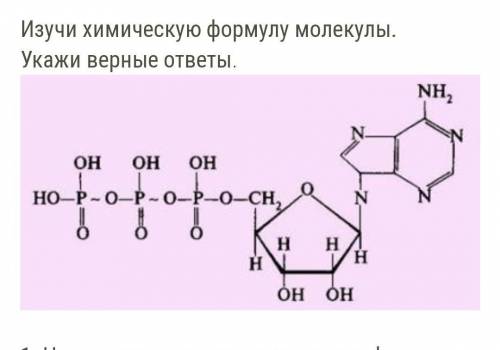 Изучи химическую формулу молекулы. Укажи верные ответы. ￼  1. На рисунке показана химическая формула