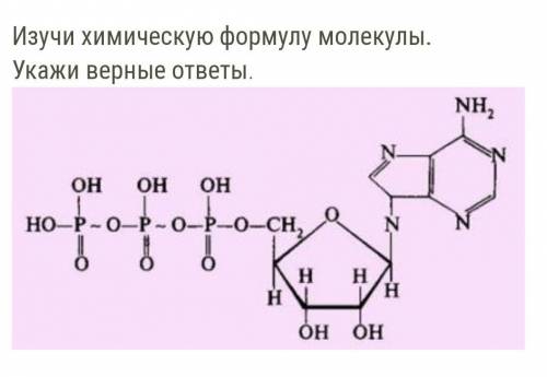 очень На рисунке показана химическая формула молекулы нуклеотида рибонуклеиновой кислотынуклеотида д