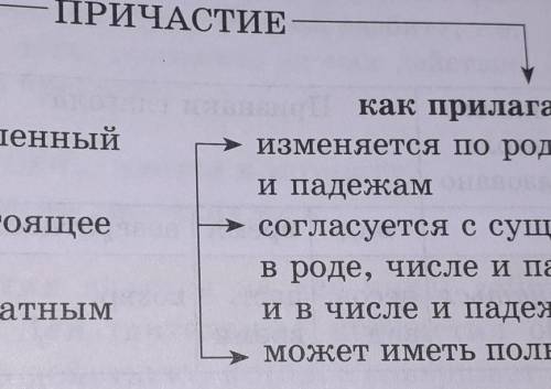 Используя опорную схему перечислите признаки глагола и прилагательного у причастия ​