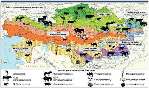 РЕБЯТ, У МЕНЯ ОСТАЕТСЯ ПОЛ ЧАСА. берілген картаны талдай отырып, қазақстан аймақтарындағы ауыл шаура