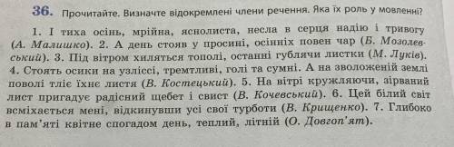 ТЬ БУДЬ ЛАСКА УКР МОВА. ВИЗНАЧТЕ ВІДОКРЕМЛЕНІ ЧЛЕНИ РЕЧЕННЯ