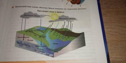 2. Взаимодействие каких оболочек Земли показано на рисунке в задании № 2 стр. 33 вашего учебникаМНЕ