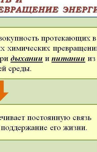 Заполните таблицу Особенности обмена веществ и превращения энергии у живых организмов