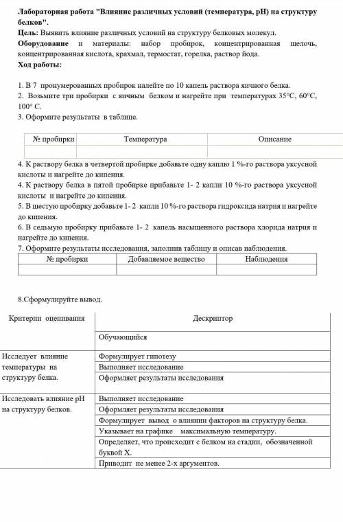 Лабораторная работа Влияние различных условий (температура, pH) на структуру белков. Цель: Выявить