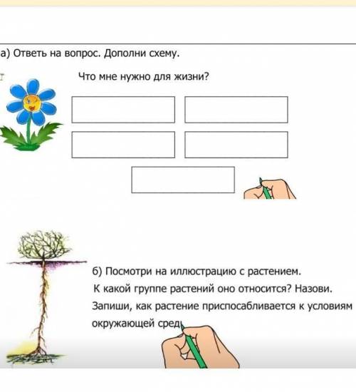 по естество знанию я поставлю математику ​