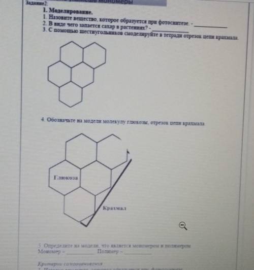 Моделирование Назовите вещество которое образуется при фотосинтезе вы увидите чего запасается в раст