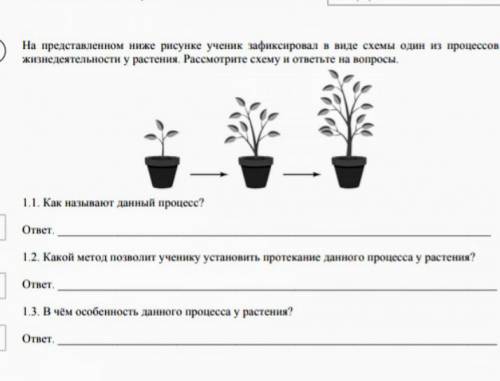 На представленном ниже рисунке зафиксировал в виде схемы один из процессов жизнедеятельности у расте