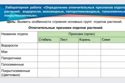 Выявить особенности строения основых групп отделов растений ​